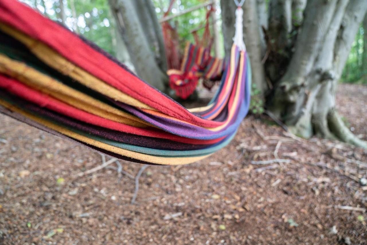 Gite Calypso de 14 personnes Fécamp Etretat Colleville Extérieur photo